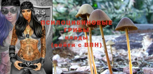spice Иннополис