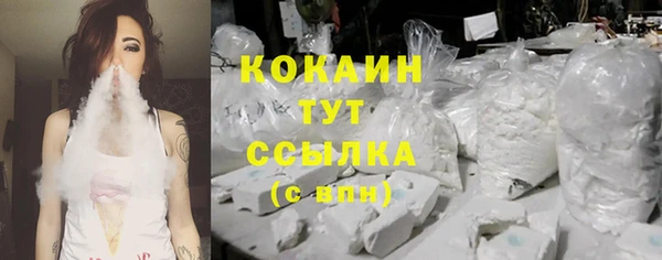 гашик Инсар