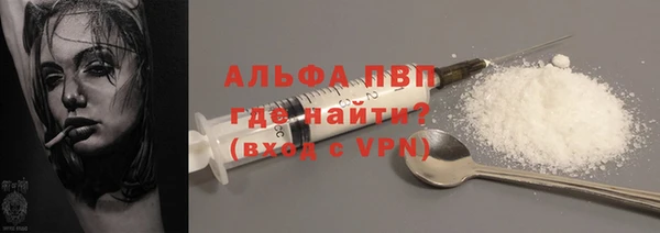 гашик Инсар