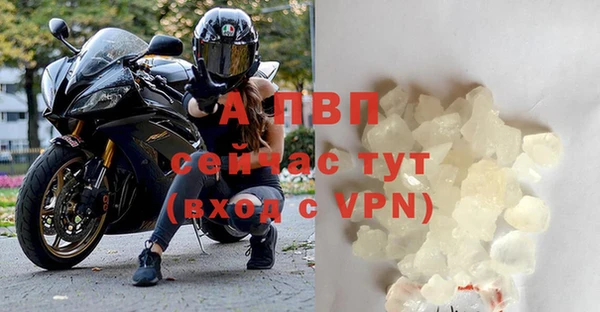 гашик Инсар