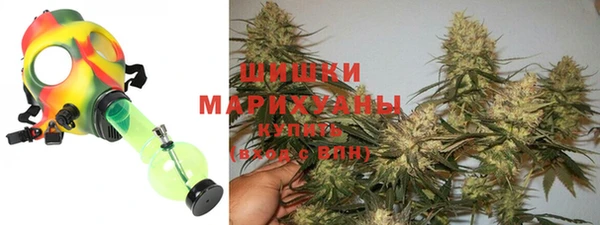 гашик Инсар