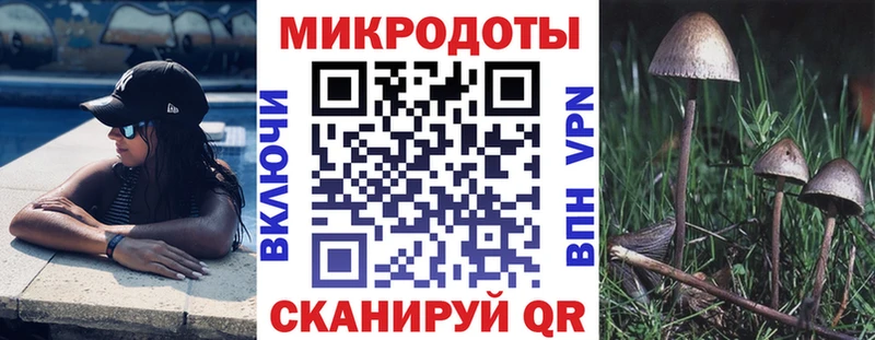 Купить где  Кандалакша  Галлюциногенные грибы Cubensis 